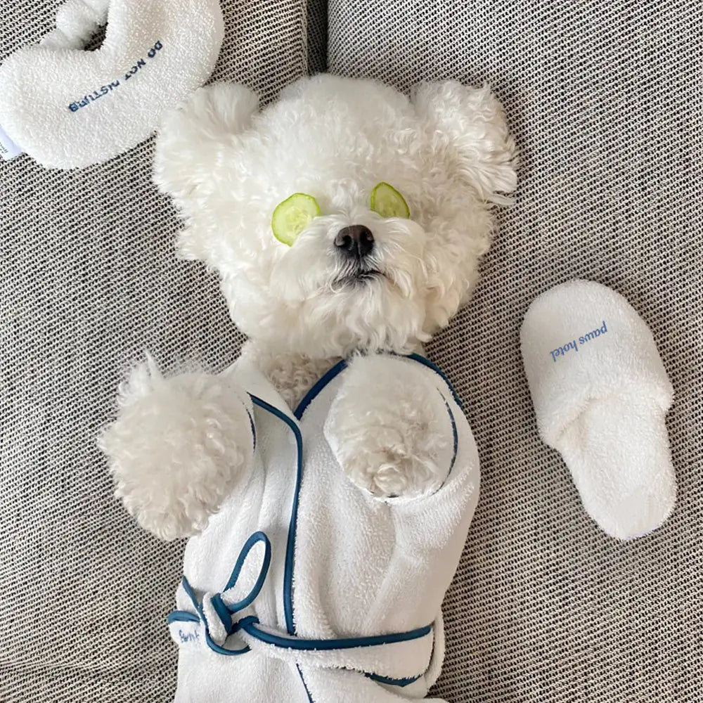 Hotel Pet Bath Towel and Bathrobe Photo Props