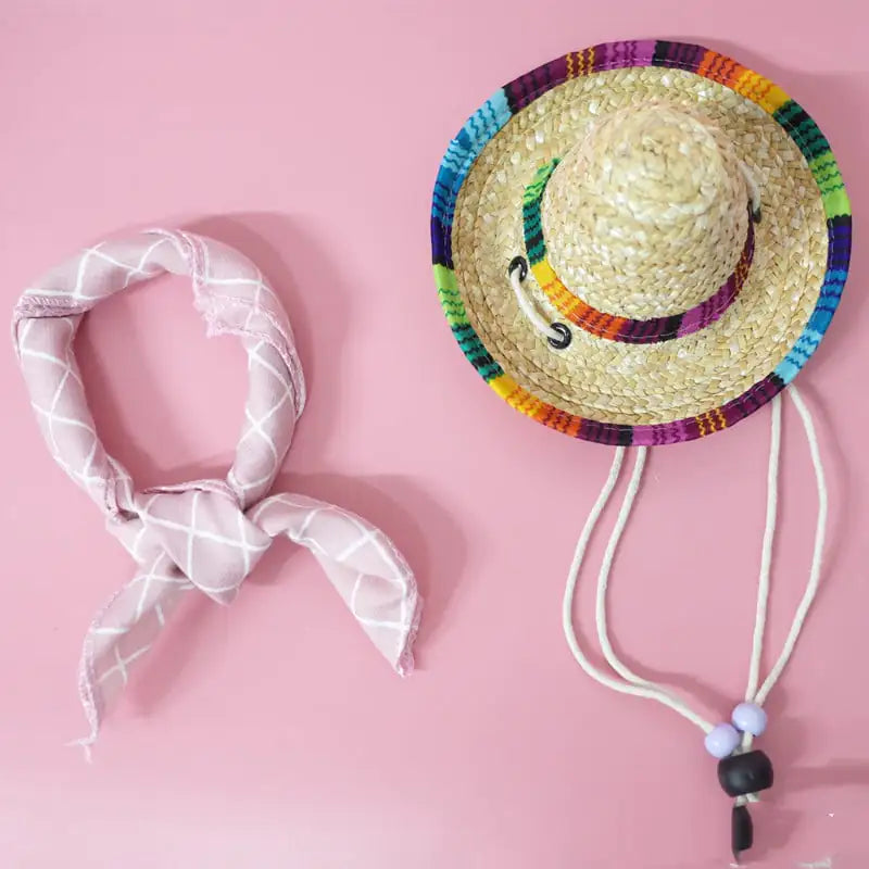 Summer Outing Set for Pet Accessories