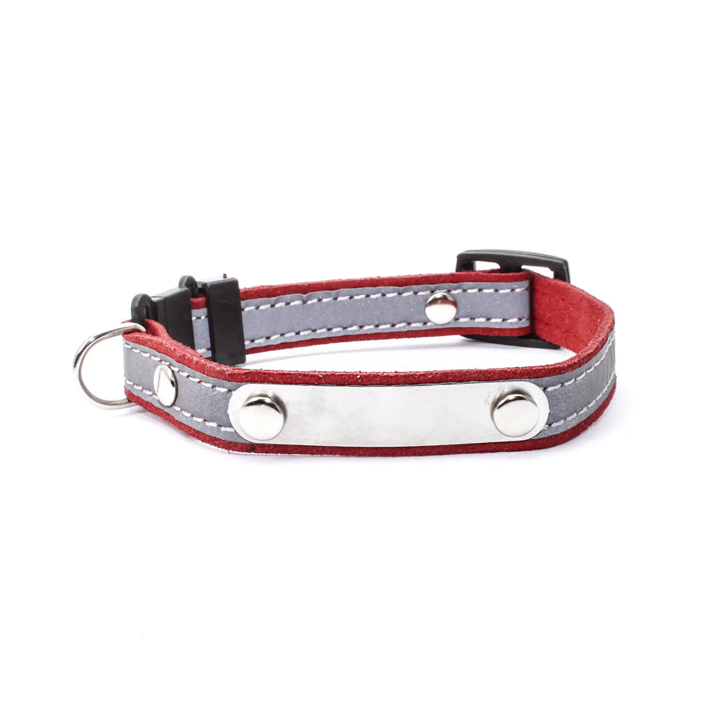 Light-Reflecting Pet Collar with Safety Plug