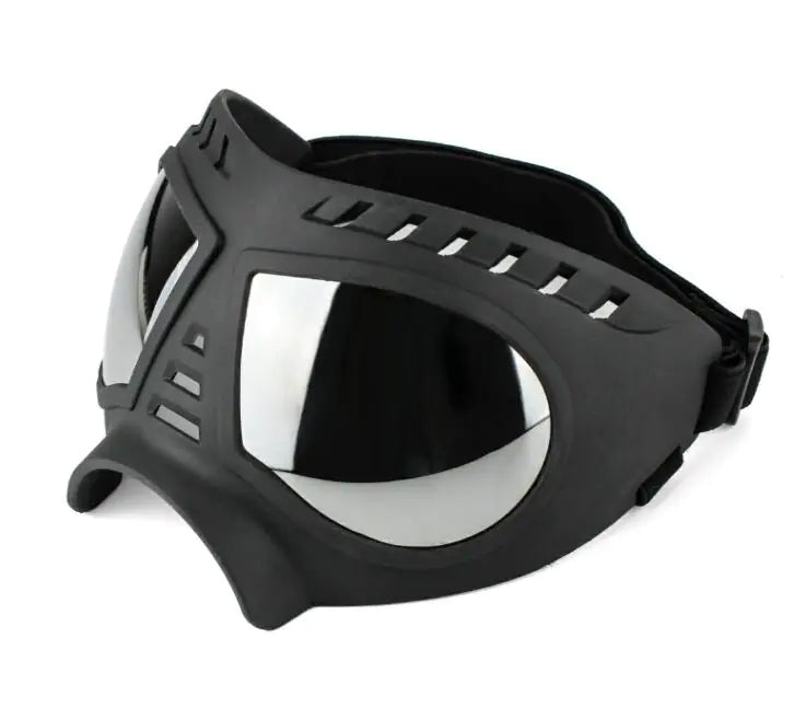 Pet Sunglasses and Helmet Accessories for Headwear