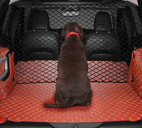 Car Pet Isolation Net - Popular Pet Product in Stock