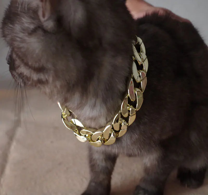 Pet Necklace Chain, Pet Accessories, Gold Chain for Pets