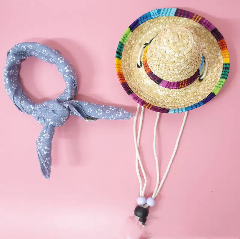 Summer Outing Set for Pet Accessories