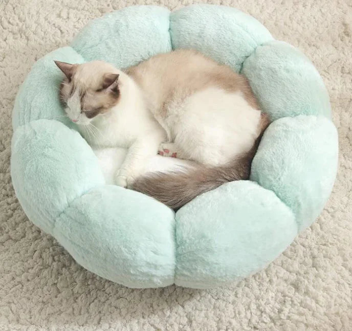 Fluffy Bliss Donut Pet Bed for Cozy Comfort (One Piece)