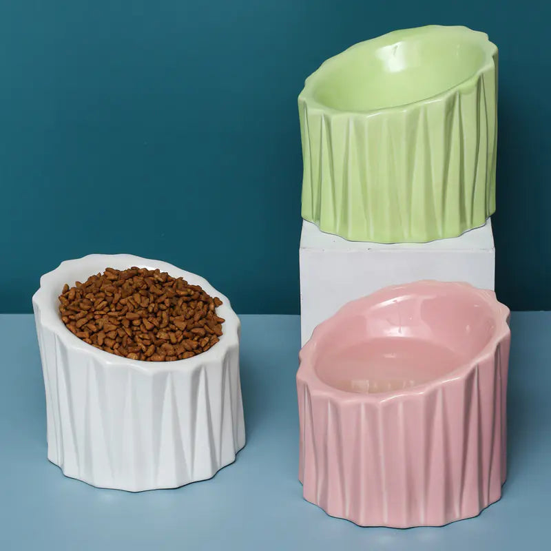 Ceramic Cat Bowl with Elevated Design for Comfort