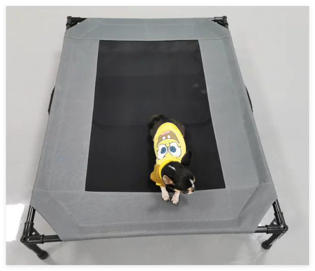 Large Elevated Outdoor Dog Bed