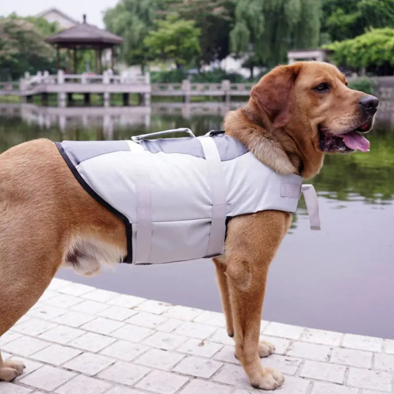Pet Life Jacket for Safety in Water Activities
