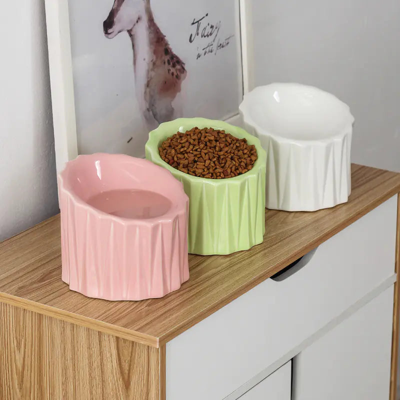 Ceramic Cat Bowl with Elevated Design for Comfort