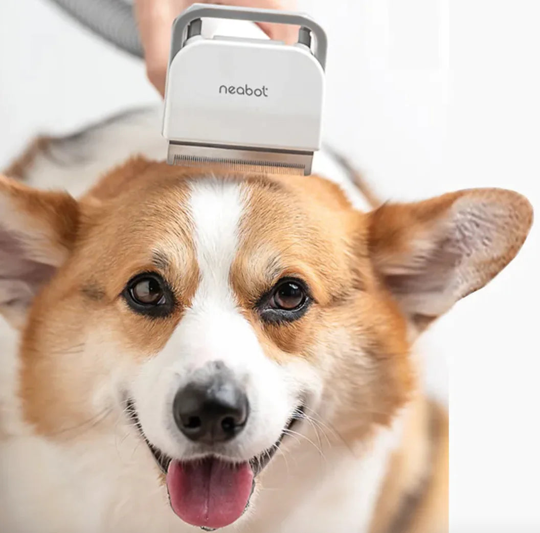 All-in-One Pet Grooming Comb & Shaver