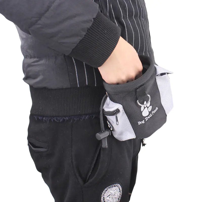 Pet Training Waist Bag for Treats and Accessories